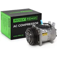 RIDEX 447K0367R Aircopomp