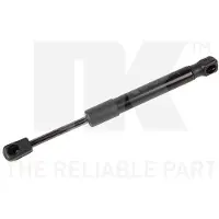 NK 11032002 Gasveer achterklep