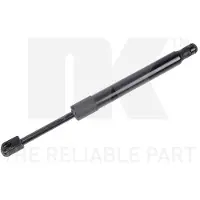 NK 11047041 Gasveer achterklep