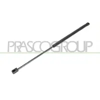 PRASCO PG3209055 Gasveer achterklep