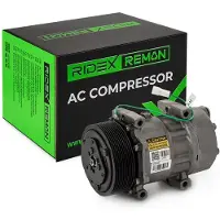 RIDEX 447K0976R Aircopomp