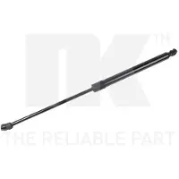 NK 11047009 Gasveer achterklep