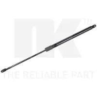 NK 11015016 Gasveer achterklep