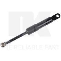 NK 11039017 Gasveer achterklep