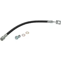 Delphi LH7959 Remslang