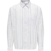 Only & Sons Overhemd 'ONSQuentin' blauw / lichtblauw / wit