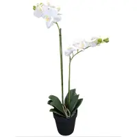 Mica Decorations kunstplant Phalaenopsis Orchidee wit H67cm D25cm