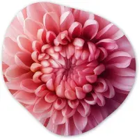 MuchoWow Organische wanddecoratie 90x90 cm - Organisch schilderij Dahlia - Bloem - Close up - Roze - Muurdecoratie woonkamer - Kamer decoratie - Schilderijen - Muurcirkel aesthetic