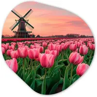 MuchoWow Organische wanddecoratie 40x40 cm - Organisch schilderij Tulpen - Molen - Nederland - Muurdecoratie woonkamer - Kamer decoratie - Schilderijen - Muurcirkel aesthetic