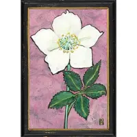 MEA Lijstje hout zwart Helleborus niger, 34x23,5cm