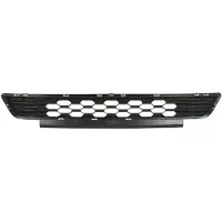 BLIC Ventilatierooster, bumper 6502-07-2586921P