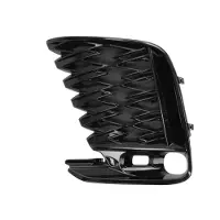 BLIC 6502-07-8126915P Ventilatiegrille, bumper