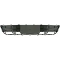 BLIC 6502-07-3284911P Ventilatiegrille, bumper