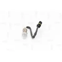 NAP carPARTS CLS10135 Lambdasonde