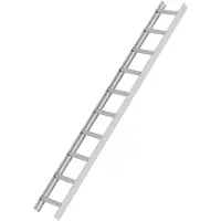 Munk aluminium dakladder, 10 treden, aluminium