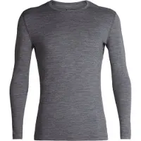 Icebreaker Functioneel shirt '200 Oasis' stone grey