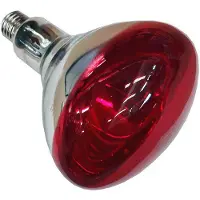 Philips 250 W E-27 Lampe Infrarouge pour Aquariophilie