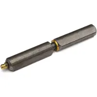 IBFM Aanlaspaumelle met smeernippel, stalen pen en messing ring 80x12 mm blank staal