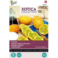 Buzzy Thema Series Xotica Kiwano Hoornkomkommer