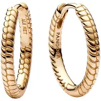 Pandora Moments - Oorbellen Voor Dames