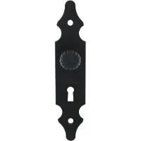 AMIG Sleutelplaat met knop SL35