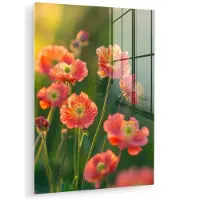 MuchoWow Glasschilderij 90x120 cm - Schilderij acrylglas - Bloemenveld - Zonnestralen - Oranje - Foto op glas - Muurdecoratie woonkamer - Wanddecoratie slaapkamer - Schilderijen