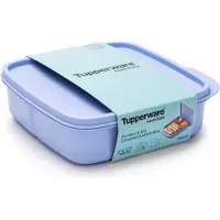 Tupperware Eco+ Portion & Go Lunchbox