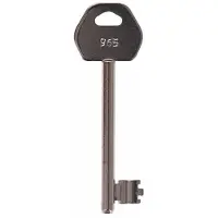 Lips Sleutel 965 BR