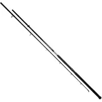 Mikado Intro Catfish Rod Zilver 3.00 m / 500 g