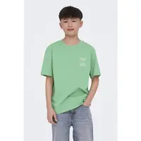 Only & Sons Osjsummerlife T-shirts