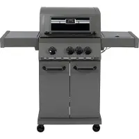 Intratuin Gasbarbecue Met 3 Branders En Zijbrander 118 X 55,5 X 132,5 Cm