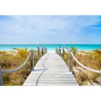 Karo-art 460cm X 300cm - Fotobehang - Pad naar blauwe zee, premium print, inclusief behanglijm