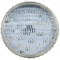 Rainbow GEMAS PAR 56 BULB 54 SMD RGB LED CONTROL PCB SYSTEM 16W | Led Zwembad Lamp | RGB | PCB SYSTEM CONTROLLED | 16 W | LED Bulbs