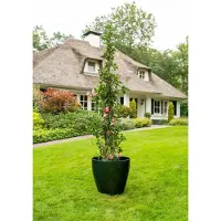 Ter Steege Pot Alisa pine | Ø25 x H23 cm