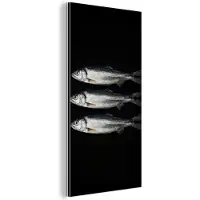 MuchoWow Aluminium schilderij 40x80 cm - Wanddecoratie metaal - Haring - Vissen - Zwart - Metalen muurdecoratie woonkamer - Decoratie industrieel - Foto op dibond - Industriële accessoires slaapkamer