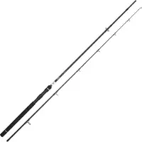 Spro Spinhengel DSX XX Heavy 2.70m - 40-100g