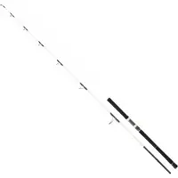 Daiwa Saltist Off Shore Spinning Rod Wit 2.29 m / 50-130 g