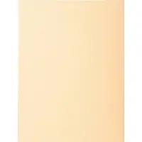 Exacompta Forever Sorteermap A4 Crème Manila 100% gerecycled 170 g/m² 100 Stuks