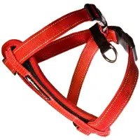 EzyDog Chest Plate tuig XS Rood