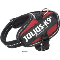 Julius-K9 IDC Powertuig Bordeaux - Maat Baby 2