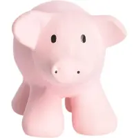 Tikiri Mijn eerste boerderijdiertjes - Varken - Varken