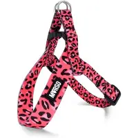 Morsø mini tuig voor hond verstelbaar gerecycled bubble leo roze 29-38x2,5 cm