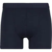 Stoic - Merino150 AlsenSt. Boxer - Merino-ondergoed S, blauw