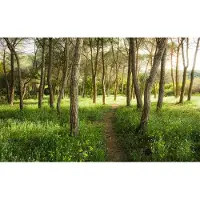 Overig Blutenz Fotobehang - Meerkleurig - 2,80m X 450cm
