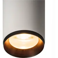 SLV Opbouwspot Numinos L Dali wit/zwart 2700K - 36gr