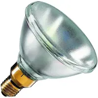Schiefer | Grote fitting E27 | Reflectorlamp | 122mm | 80W