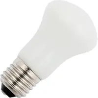 Schiefer E27 | 28W 330lm 2800K 220V/240V Opaal | Dimbaar
