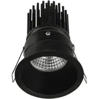 Internova LED Downlighter Ø155mm | Cerchio Black 927