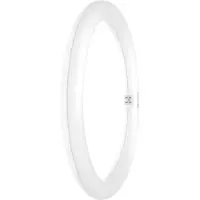 Ledvance LED-buis-Globe Energielabel: E (A - G) G10q 18.3 W Neutraalwit 1 stuk(s) (Ø x l) 300.00 mm x 300.00 mm