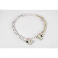 Prolumia Kabelboom 8p + male/female connector 1.5m | 40640423